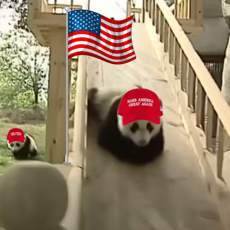 Meme