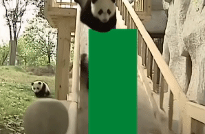 Meme 4