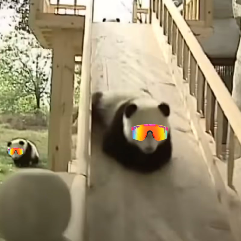 Meme