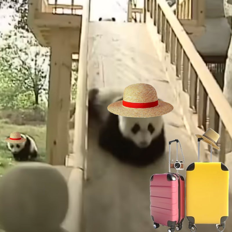 Meme 1