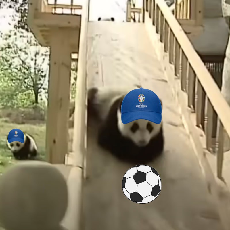 Meme 4