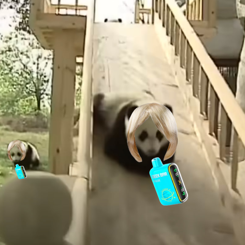 Meme